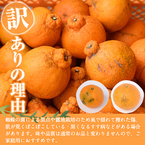 ＜先行予約受付中！2026年2月以降順次発送予定＞＜訳あり・不揃いの為＞数量限定！無加温ハウス不知火(5kg) 国産 鹿児島県 阿久根市 果実果物 フルーツ 柑橘 みかん ミカン 期間限定 数量限定【桐野柑橘株式会社】akn070-12