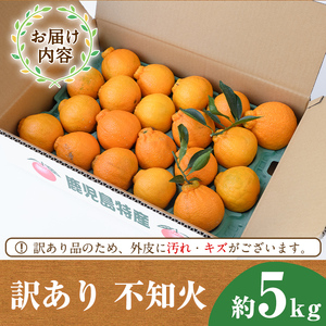 ＜先行予約受付中！2026年2月以降順次発送予定＞＜訳あり・不揃いの為＞数量限定！無加温ハウス不知火(5kg) 国産 鹿児島県 阿久根市 果実果物 フルーツ 柑橘 みかん ミカン 期間限定 数量限定【桐野柑橘株式会社】akn070-12