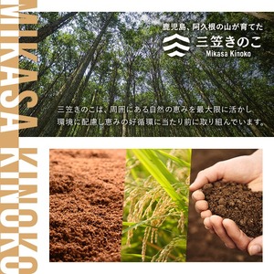 濃いえのき(10袋・計300g)国産 白えのき エノキ きのこ 茸 キノコ セット 個包装【三笠えのき茸生産組合】a-12-216