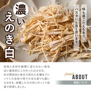 濃いえのき(10袋・計300g)国産 白えのき エノキ きのこ 茸 キノコ セット 個包装【三笠えのき茸生産組合】a-12-216