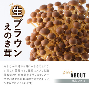 生ブラウンえのき茸(20袋・計3.6kg)国産 エノキ きのこ 茸 キノコ 個包装【三笠えのき茸生産組合】a-12-220-z