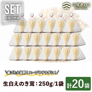 生白えのき茸(20袋・計5kg)国産 エノキ きのこ キノコ 個包装【三笠えのき茸生産組合】a-12-221