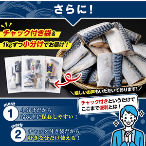 ＜訳あり・傷あり＞ご家庭用さば切身パック(30枚以上・合計3kg)サバ 鯖 魚類 おかず グリル 焼き魚 切り身 柚子昆布 瀬戸内塩レモン ジップロック付き袋【グローバルフーズ】a-12-232