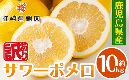 i917 ＜2026年3月上旬～5月下旬の間に発送予定＞＜訳あり＞サワーポメロ(約10kg) 柑橘 サワーポメロ 鹿児島県 国産 果物 フルーツ みかん 文旦 ボンタン 訳あり 【江崎果樹園】