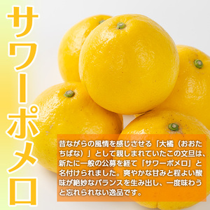 i917 ＜2026年3月上旬～5月下旬の間に発送予定＞＜訳あり＞サワーポメロ(約10kg) 柑橘 サワーポメロ 鹿児島県 国産 果物 フルーツ みかん 文旦 ボンタン 訳あり 【江崎果樹園】