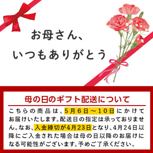 i006-m 【母の日ギフト】神酒造の一升瓶の飲み比べ！「千鶴・いも神・もみじのしずく」(各1800ml×3本) 麦焼酎 芋焼酎 一升瓶 飲み比べ アルコール お酒 宅飲み 家飲み 母の日 ギフト 贈り物 プレゼント 【神酒造】