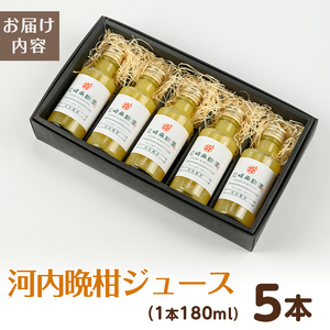 i990-A 河内晩柑ジュース(180ml×5本) 飲料 ジュース みかん 蜜柑 果汁 100% 河内晩柑 無着色 無香料 ストレートジュース 安心安全 ギフト 贈り物 贈答【江崎果樹園】