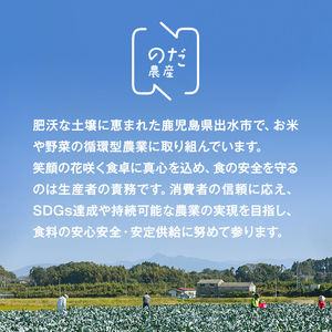 ≪2025年12月上旬～4月下旬の間に発送予定≫ ブロッコリー 約2kg (M～L玉) 鹿児島 出水 国産 朝どれ 新鮮 産地直送 JGAP認証【のだ農産】 i994