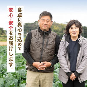 ≪2025年12月上旬～4月下旬の間に発送予定≫ ブロッコリー 約2kg (M～L玉) 鹿児島 出水 国産 朝どれ 新鮮 産地直送 JGAP認証【のだ農産】 i994