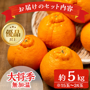 i636 ≪2026年1月中旬以降順次発送予定≫【冷蔵便】大将季＜無加温＞ (約5kg) 国産 みかん 柑橘 種果物 くだもの フルーツ 旬 糖度抜群 【JA鹿児島いずみ(果実課)】