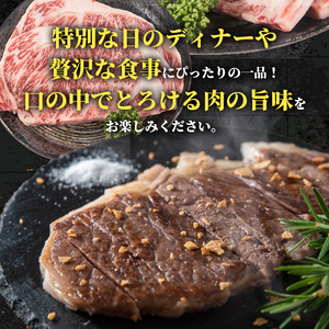 i1003 鹿児島県産 黒毛和牛 サーロインステーキ(計約360g・約180g×2枚) 国産 九州産 鹿児島産 黒毛和牛 牛肉 国産牛 サーロイン ステーキ 冷凍配送 【スターゼン】