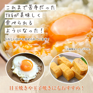 i1045 鶏ダシTKGの素(150ml×2本・計300ml) 鹿児島 しょうゆ しょう油 だし醤油 かけ醤油 TKG醤油 卵かけご飯 調味料 常温 常温保存 九州 薩摩醤油 老舗 【藤本醸造店】