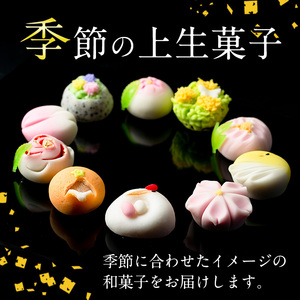 i246-Xm 【クリスマスギフト】季節の上生菓子セット(10個) お菓子 和菓子 生菓子 四季 ギフト 贈り物 和スイーツ お祝い 個包装 冷凍 クリスマス プレゼント 贈答 【リッチモン松元】