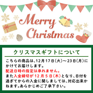 i246-Xm 【クリスマスギフト】季節の上生菓子セット(10個) お菓子 和菓子 生菓子 四季 ギフト 贈り物 和スイーツ お祝い 個包装 冷凍 クリスマス プレゼント 贈答 【リッチモン松元】