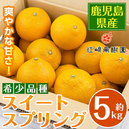i1068 ＜数量・期間限定＞ スイートスプリング (約5kg) 鹿児島 みかん スイートスプリング 柑橘 果物 くだもの フルーツ 旬 ミカン オレンジ 【江崎果樹園】