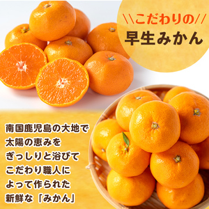 i1069-A ＜先行予約受付中！2025年12月の間に発送予定＞ ＜数量・期間限定＞鹿児島みかん 早生系 (約5kg) みかん 蜜柑 ミカン 柑橘 早生 果物 フルーツ 果実 国産 鹿児島 数量限定 期間限定 【江崎果樹園】
