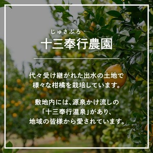 i987 ＜2026年1月中旬以降順次発送予定＞ポンカン(約5kg) みかん ポンカン ぽんかん 柑橘 果物 くだもの フルーツ 旬 ミカン オレンジ 数量限定 期間限定 【アーステクノ】