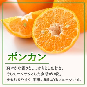 i987 ＜2026年1月中旬以降順次発送予定＞ポンカン(約5kg) みかん ポンカン ぽんかん 柑橘 果物 くだもの フルーツ 旬 ミカン オレンジ 数量限定 期間限定 【アーステクノ】