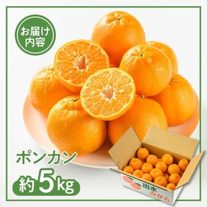 i987 ＜2026年1月中旬以降順次発送予定＞ポンカン(約5kg) みかん ポンカン ぽんかん 柑橘 果物 くだもの フルーツ 旬 ミカン オレンジ 数量限定 期間限定 【アーステクノ】