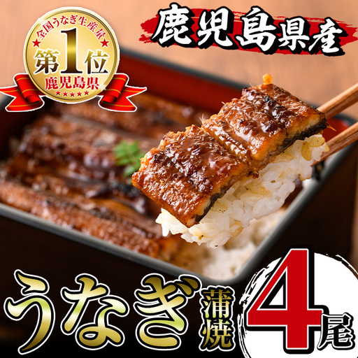 i1077 鹿児島県産うなぎ蒲焼4尾セット(約140g×4・計約560g) うなぎ 鰻 ウナギ 4尾 蒲焼き 国産 鹿児島県産 焼きたて 生産量日本一 真空パック おかず 晩御飯 特別な日 土用の丑の日 丑の日 【薩摩川内鰻】