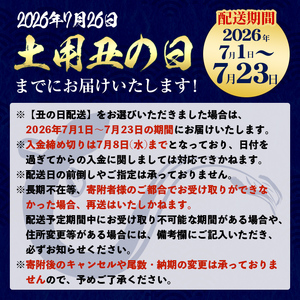 i505-us 【丑の日までに配送】鹿児島県産うなぎ蒲焼2尾セット(約140g×2・計約280g) うなぎ 鰻 ウナギ 2尾 蒲焼き 国産 鹿児島県産 焼きたて 生産量日本一 真空パック おかず 晩御飯 特別な日 土用の丑の日 丑の日 【薩摩川内鰻】