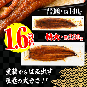 鹿児島県産 うなぎ蒲焼 特大 サイズ 5尾(約220g×5・計約1100g)【薩摩川内鰻】 i1078-C