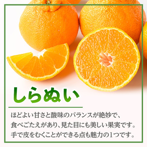 i989 ＜訳あり＞しらぬい(5kg) 数量限定 柑橘 デコポン でこぽん 不知火 しらぬい シラヌヒ 果物 くだもの フルーツ 旬 訳あり 【アーステクノ】