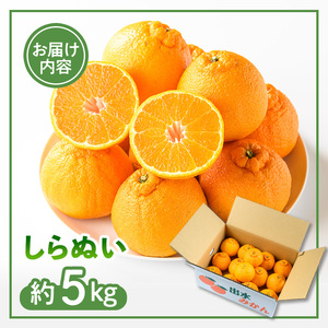 i989 ＜訳あり＞しらぬい(5kg) 数量限定 柑橘 デコポン でこぽん 不知火 しらぬい シラヌヒ 果物 くだもの フルーツ 旬 訳あり 【アーステクノ】