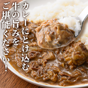 i1113-B 牛すじカレー 中辛 (180g×4P・計720g) 牛すじ カレー 国産 牛 肉 レトルト 常温 保存 4食 4人前 簡単 調理 レンジ 湯煎 ごはん おかず 【まつぼっくり】