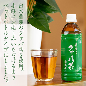 i1137-B グァバ茶PET(神秘也)500ml×30本 お茶 茶 国産 グァバ葉 ノンカフェイン ポリフェノール 血糖値 コレステロール ペットボトル 【出水酒造 izumi-syuzou】
