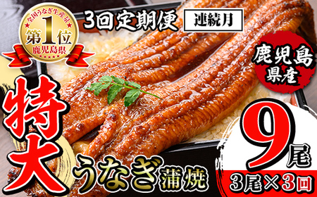 【3回定期便(連続月)】鹿児島県産 うなぎ蒲焼 特大 サイズ 3尾セット＜（約220g×3・計約660g）×全3回＞ 【薩摩川内鰻】 i1174-A