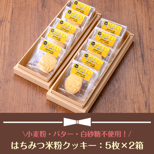 i1186 はちみつ米粉クッキー(5枚×2箱) お菓子 洋菓子 おやつ スイーツ 焼き菓子 クッキー グルテンフリー 小麦不使用 米粉 米油 個包装 菓子大博覧会 ギフト 贈答 【バースディ】