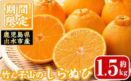 i1339 ≪数量・期間限定≫いずみ産 竹ん子山のしらぬひ(約1.5kg) 鹿児島 国産 九州産 しらぬい 不知火 柑橘 くだもの フルーツ 果実 【イーサイドライン】