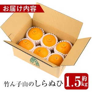 i1339 ≪数量・期間限定≫いずみ産 竹ん子山のしらぬひ(約1.5kg) 鹿児島 国産 九州産 しらぬい 不知火 柑橘 くだもの フルーツ 果実 【イーサイドライン】