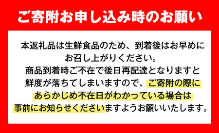i1339 ≪数量・期間限定≫いずみ産 竹ん子山のしらぬひ(約1.5kg) 鹿児島 国産 九州産 しらぬい 不知火 柑橘 くだもの フルーツ 果実 【イーサイドライン】