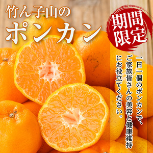 ≪数量・期間限定≫いずみ産 竹ん子山の柑橘詰め合わせ 2種以上 約3~5kg みかん フルーツ 果物 セット 詰め合わせ 【イーサイドライン】 i1342