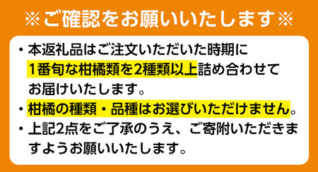 ≪数量・期間限定≫いずみ産 竹ん子山の柑橘詰め合わせ 2種以上 約3~5kg みかん フルーツ 果物 セット 詰め合わせ 【イーサイドライン】 i1342