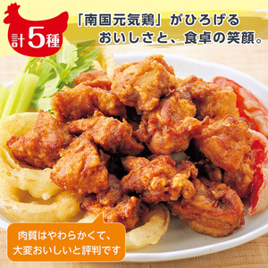 i018 安心安全の国産鶏肉！南国元気鶏セット(5種・計1.55kg)【マルイ食品】