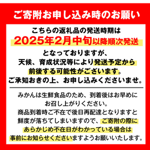 i047 ≪先行予約受付中！2025年2月中旬～5月中旬の間に発送≫紅甘夏(約10kg) みかん ミカン 蜜柑 果物 くだもの フルーツ 柑橘 10kg 国産 おやつ 旬 【JA鹿児島いずみ(果実課)】