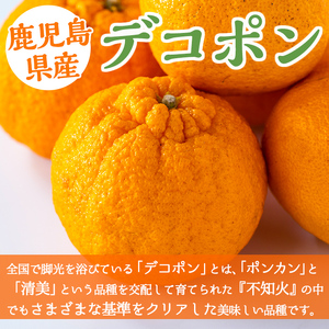 i084 ≪先行予約受付中！2026年3月上旬から順次発送≫鹿児島県産！デコポン(約5kg・L~4Lサイズ 15~24玉) 国産 みかん 柑橘 種なし 果物 くだもの フルーツ 旬 露地裁場 【JA鹿児島いずみ(果実課)】