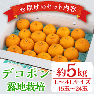 i084 ≪先行予約受付中！2026年3月上旬から順次発送≫鹿児島県産！デコポン(約5kg・L~4Lサイズ 15~24玉) 国産 みかん 柑橘 種なし 果物 くだもの フルーツ 旬 露地裁場 【JA鹿児島いずみ(果実課)】