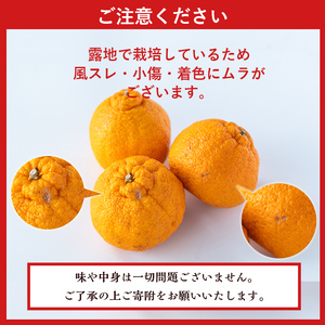 i084 ≪先行予約受付中！2026年3月上旬から順次発送≫鹿児島県産！デコポン(約5kg・L~4Lサイズ 15~24玉) 国産 みかん 柑橘 種なし 果物 くだもの フルーツ 旬 露地裁場 【JA鹿児島いずみ(果実課)】