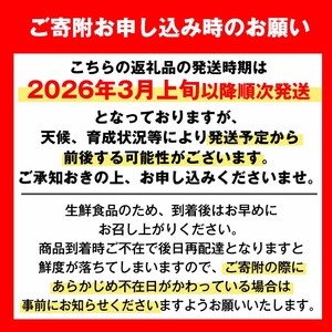 i084 ≪先行予約受付中！2026年3月上旬から順次発送≫鹿児島県産！デコポン(約5kg・L~4Lサイズ 15~24玉) 国産 みかん 柑橘 種なし 果物 くだもの フルーツ 旬 露地裁場 【JA鹿児島いずみ(果実課)】