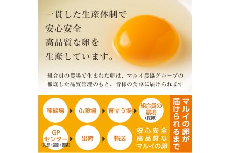 i303 鹿児島県産の白たまご約10kg(約165個・Mサイズ)業務用仕様！養鶏の専門農協で一貫して生産された国産生卵！【マルイ食品】