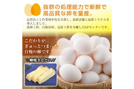 i303 鹿児島県産の白たまご約10kg(約165個・Mサイズ)業務用仕様！養鶏の専門農協で一貫して生産された国産生卵！【マルイ食品】