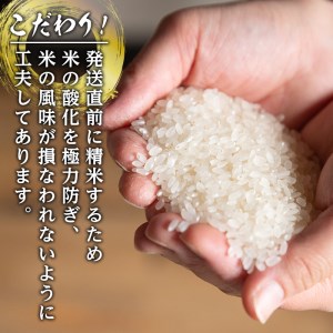 i310 鹿児島県出水市産ひのひかり＜3kg×2袋・計6kg＞ 米 6kg お米 白米 ヒノヒカリ 自家脱穀 自家精米 発送直前 精米 おにぎり ごはん お米マイスター 厳選  【田上商店】