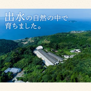 i328 《業務用・訳あり》サラダハム(約1kg×2本・計2kg) ハム 国産 豚肉 塩漬 熟成 プレスハム 肉加工品 訳アリ 業務用 サラダ トッピング【ナンチク】