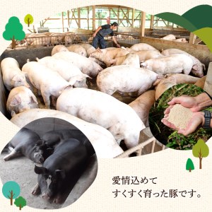 i328 《業務用・訳あり》サラダハム(約1kg×2本・計2kg) ハム 国産 豚肉 塩漬 熟成 プレスハム 肉加工品 訳アリ 業務用 サラダ トッピング【ナンチク】