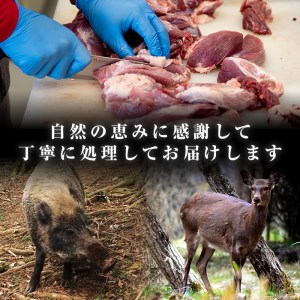 i332 《毎月数量限定》鹿児島県出水市産大幸鹿肉のミンチ＜500g×8パック・計4kg＞鹿肉ミンチで手軽にジビエ料理！高タンパク・低カロリー・低脂質で鉄分豊富なのでダイエットや体を鍛えている方にもおすすめ♪  肉 鹿肉 ジビエ ミンチ 挽肉 料理 高タンパク 低カロリー 低脂質 鉄分豊富 ダイエット ハンバーグ メンチカツ 料理 相性抜群 冷凍【大幸】