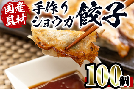 i393 国産豚肉使用！手作りショウガ餃子100個セット(10個×10パック たれ付き）具材は全て安心安全な国産！にんにく不使用！ビールのお供に相性抜群！  餃子 ぎょうざ ニンニク不使用 しょうが 生姜 冷凍 おかず おつまみ 惣菜 小分け 国産原料【スーパーよしだ】